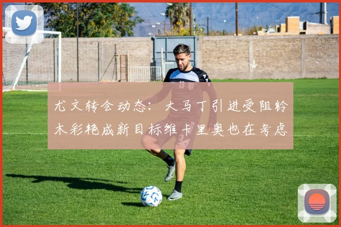 尤文转会动态：大马丁引进受阻铃木彩艳成新目标维卡里奥也在考虑中